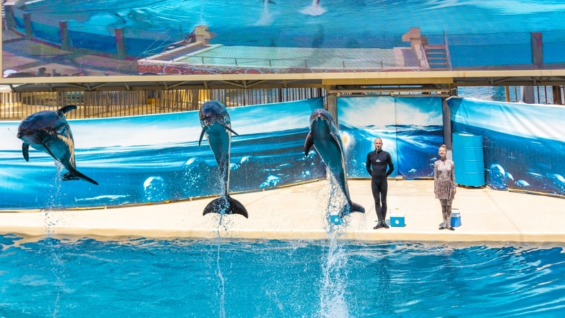 The Land Of Legends Tema Parkı Giriş Bileti