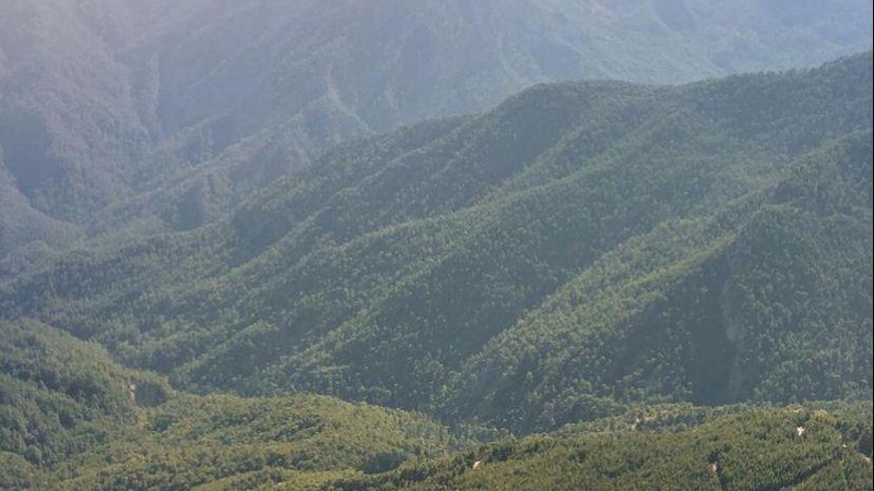 Kemer : Blue & Green Jeep Safari ve Yat Turu