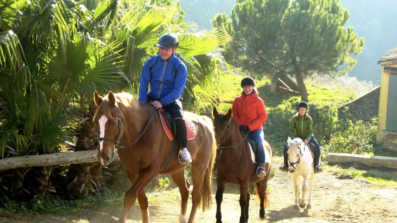 Kemer : 2 Saatlik At Binme Turu