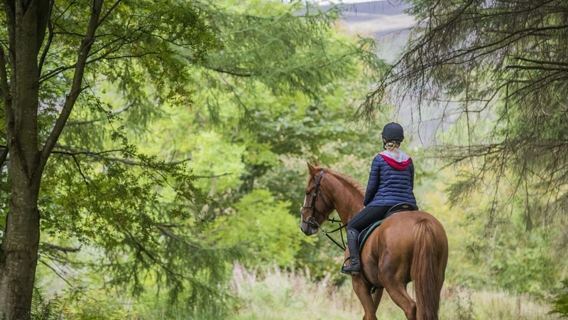Kemer : 2 Saatlik At Binme Turu