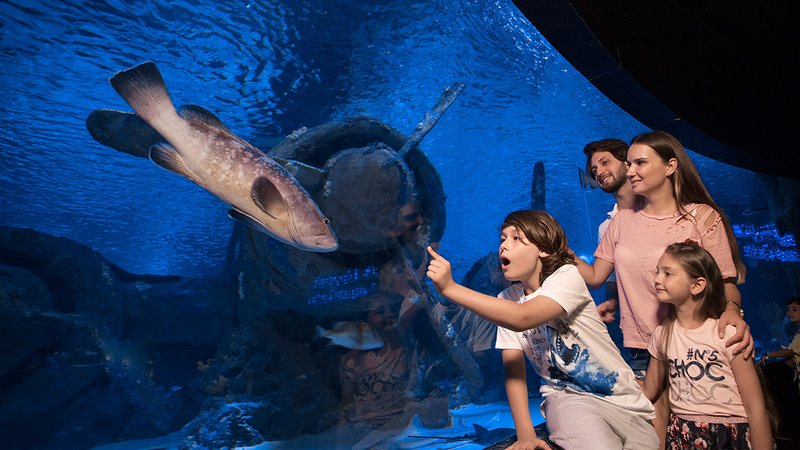 Antalya Akvaryum Full Plus Paket - Giriş Bileti