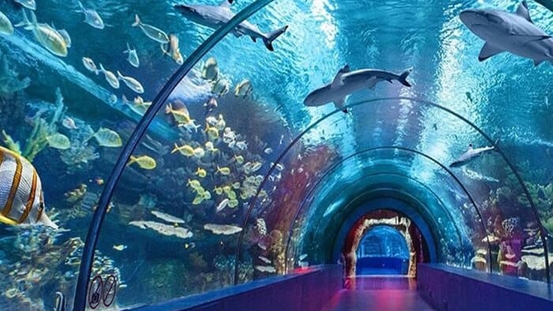 Antalya Akvaryum Full Plus Paket - Giriş Bileti