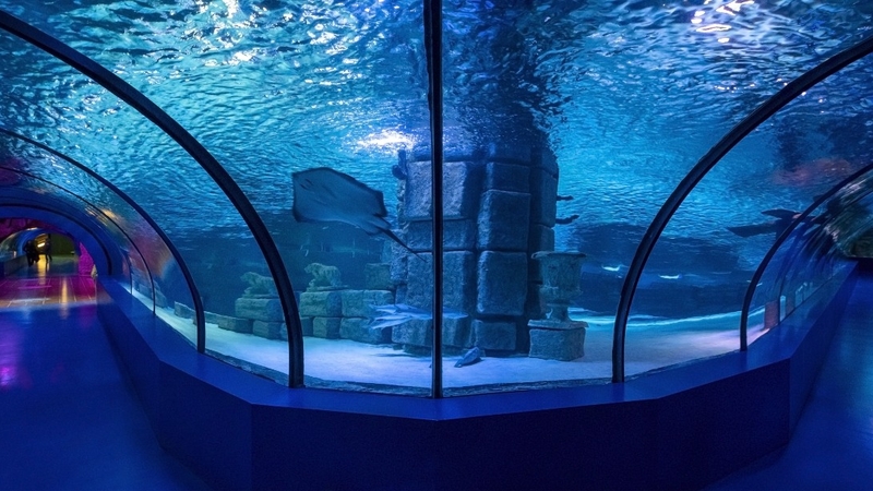 Antalya Aquarium