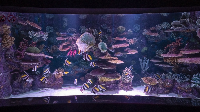 Antalya Aquarium