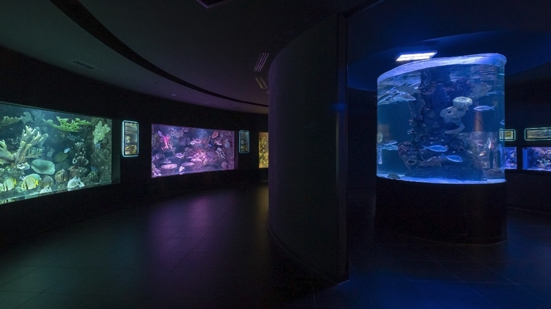 Antalya Aquarium